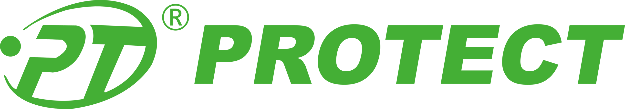 8. Logo Protect