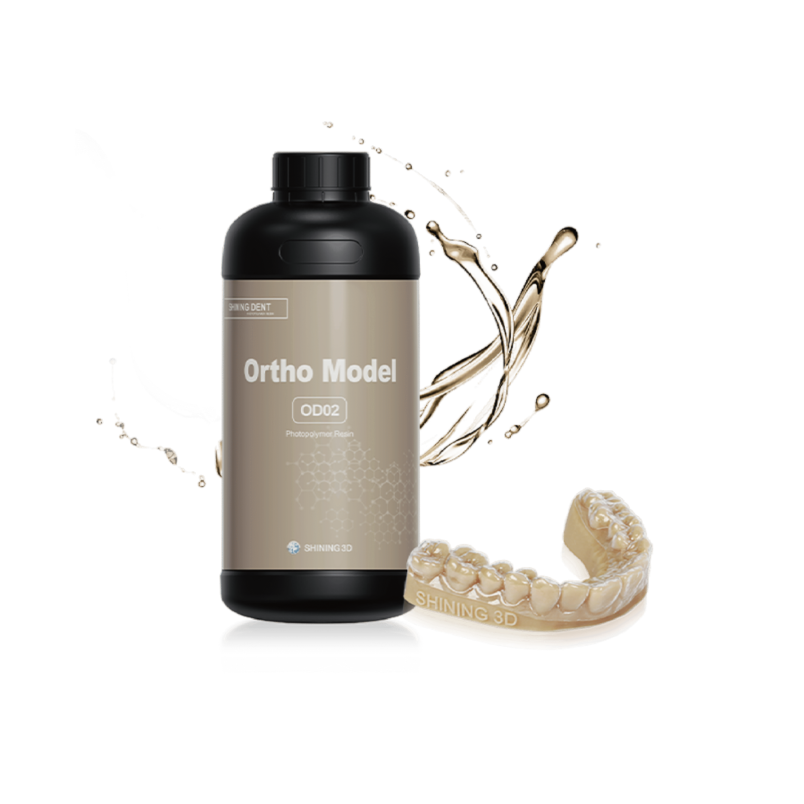OD02 Ortho Model