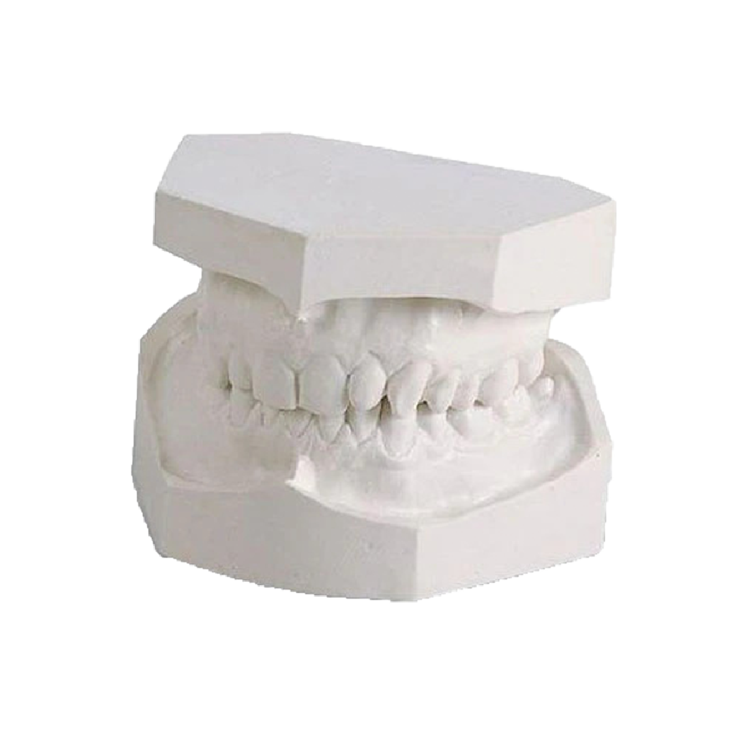 Dental Plaster