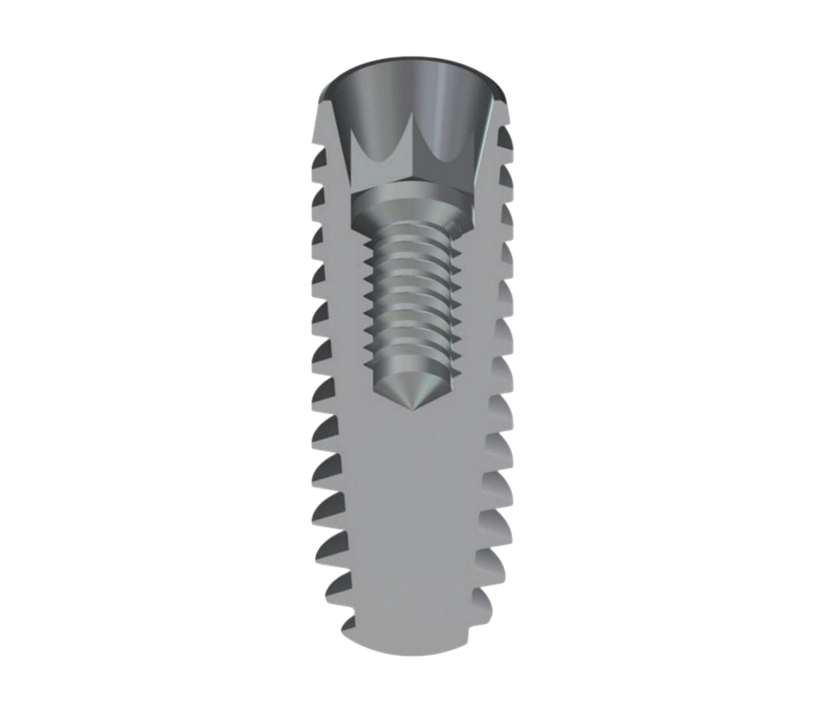 Implant 02 (1)